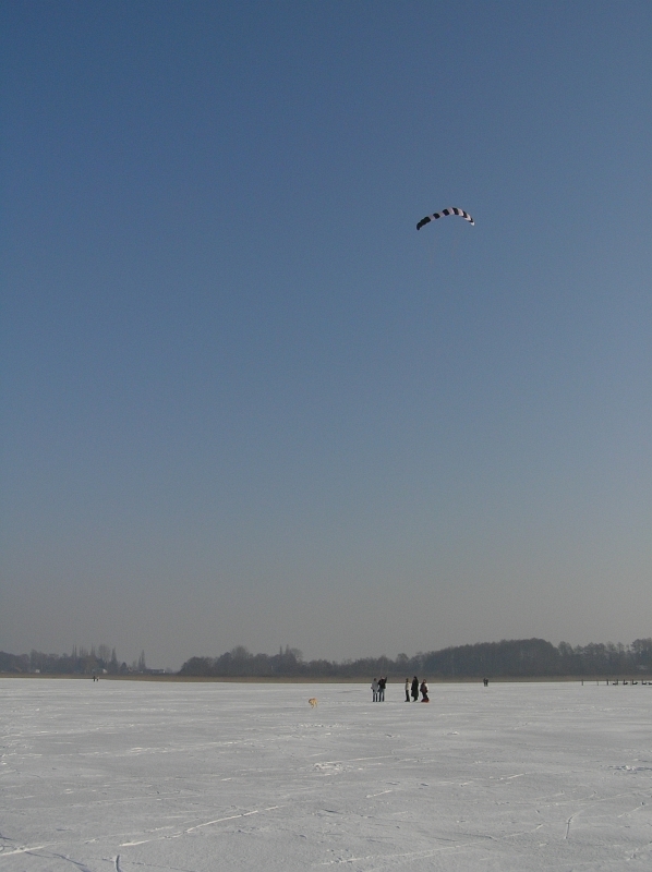 P1281100.JPG